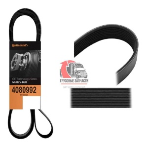Ремень вентилятора L=2513mm/8PK CAT C15, 815.4080992