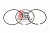 Комплект колец поршневых (6Q) STD DDE S60 12.7L EGR (3.0MM FIRE RING), DDE 23531251